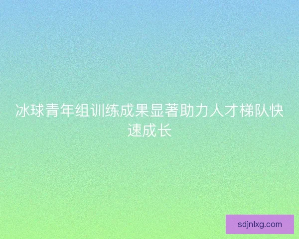 冰球青年组训练成果显著助力人才梯队快速成长
